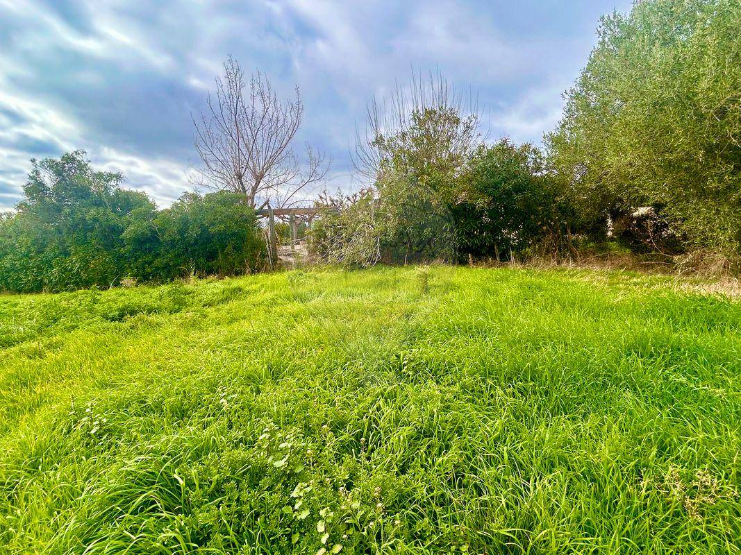 Terrain seul à Pietroso en Haute-Corse (2B) de 1100 m² à vendre au prix de 93200€ - 4