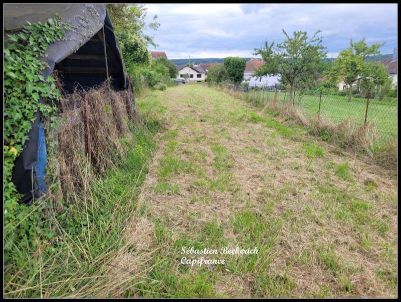 Terrain seul à Blies-Guersviller en Moselle (57) de 910 m² à vendre au prix de 24000€ - 4