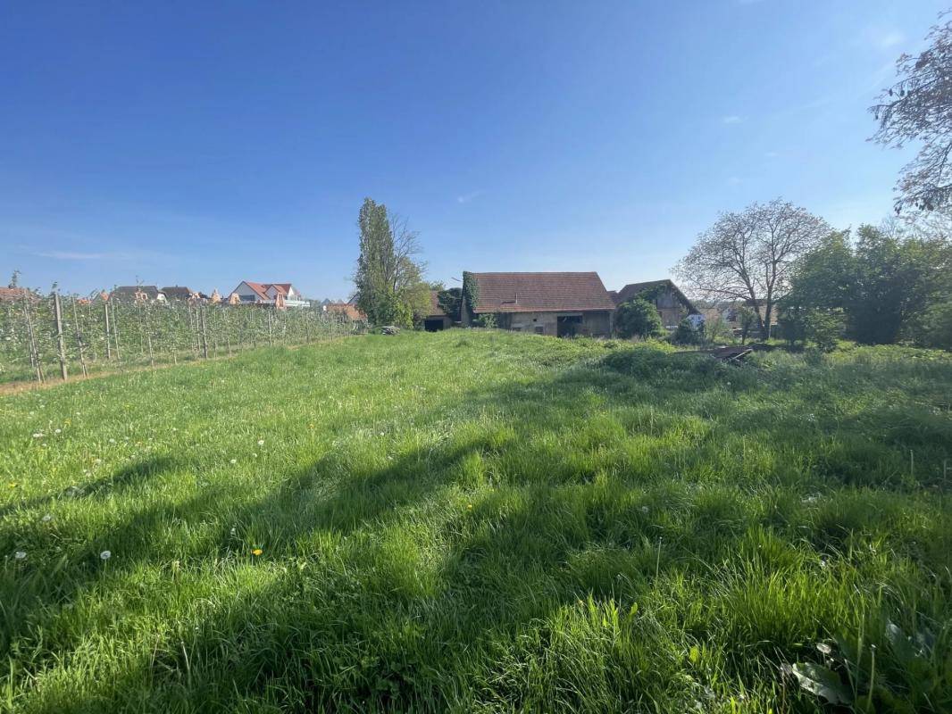 Terrain seul à Berstett en Bas-Rhin (67) de 3180 m² à vendre au prix de 559000€ - 2