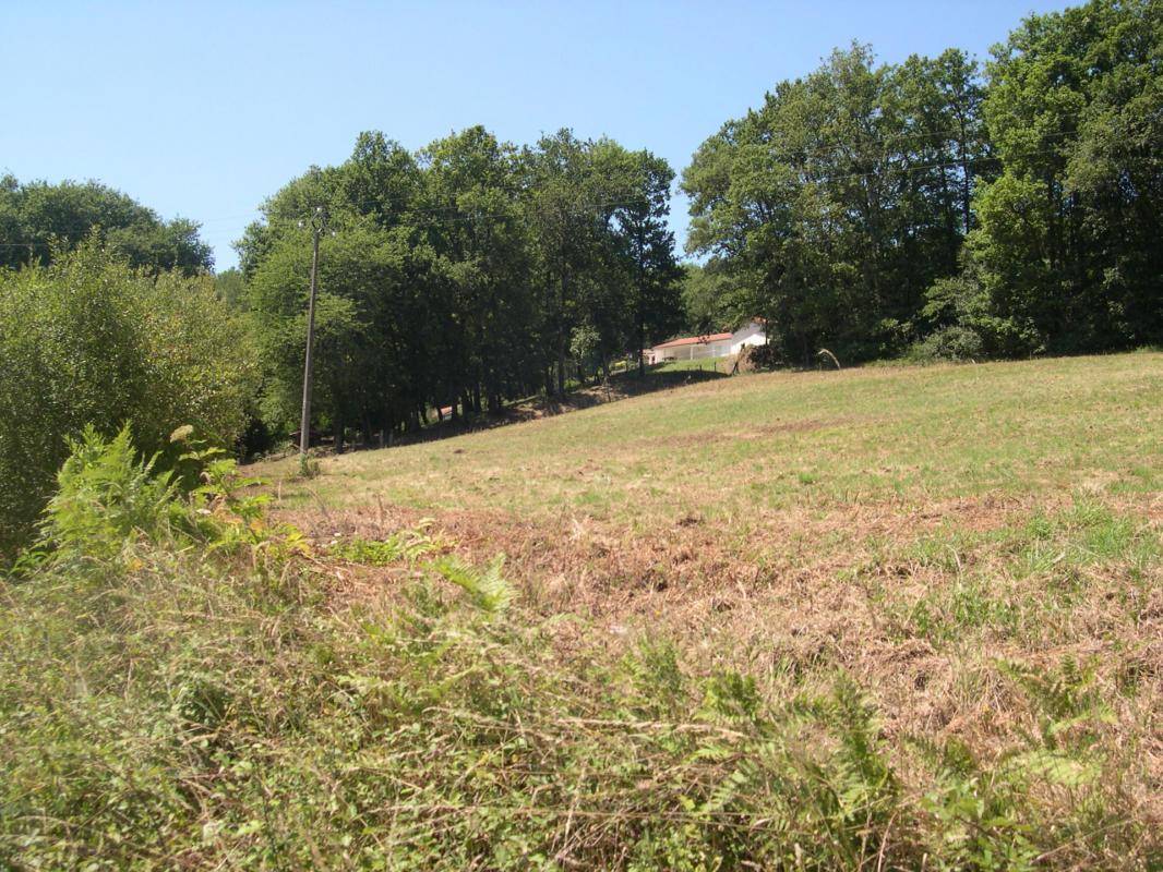 Terrain seul à Maubourguet en Hautes-Pyrénées (65) de 7503 m² à vendre au prix de 39000€ - 3