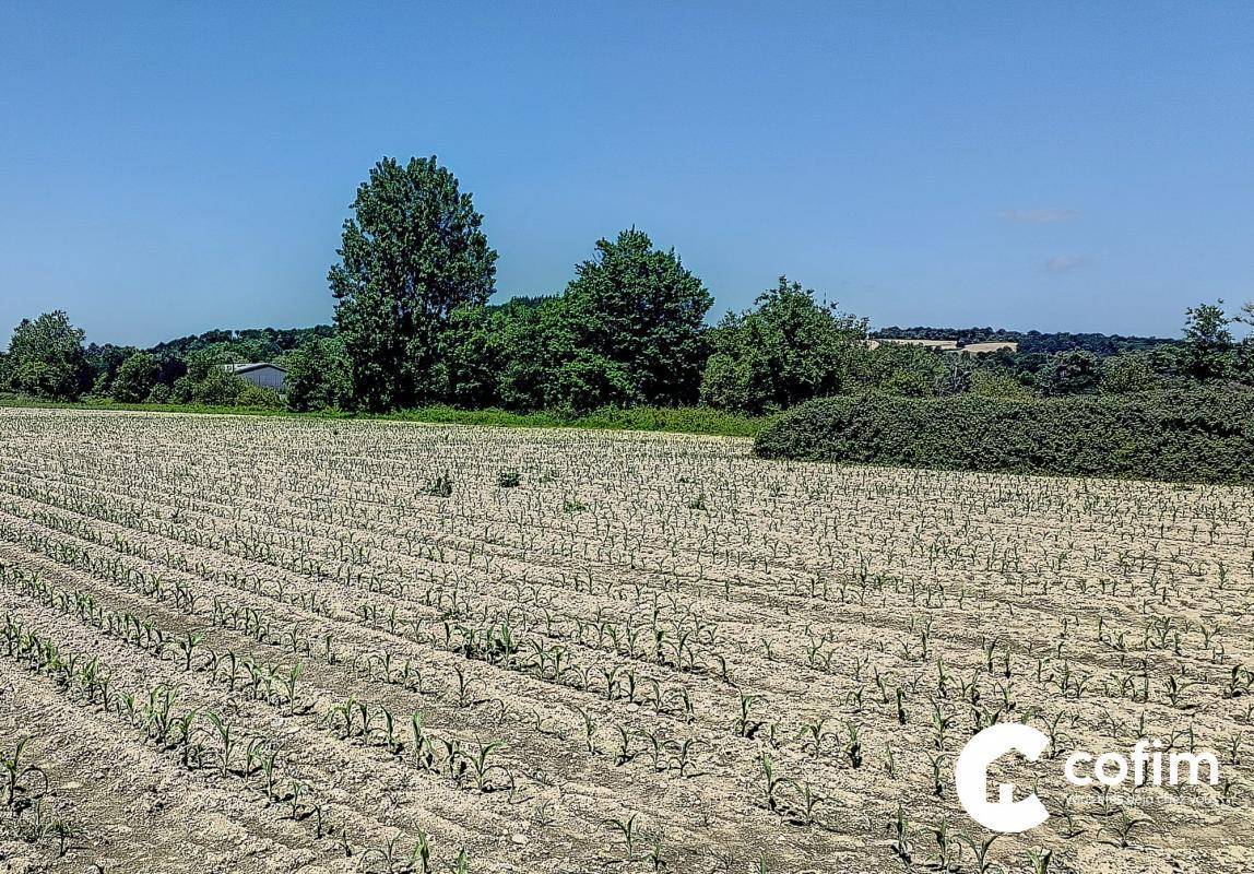 Terrain seul à Assat en Pyrénées-Atlantiques (64) de 1042 m² à vendre au prix de 83000€