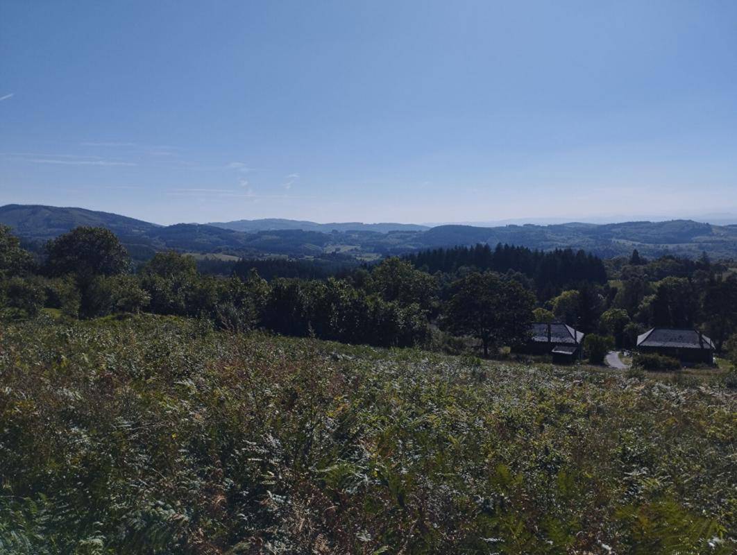 Terrain seul à Lachaux en Puy-de-Dôme (63) de 3850 m² à vendre au prix de 49990€ - 3