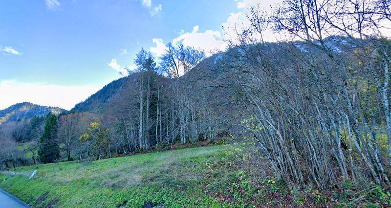 Terrain seul à Thollon-les-Mémises en Haute-Savoie (74) de 1124 m² à vendre au prix de 140000€ - 3