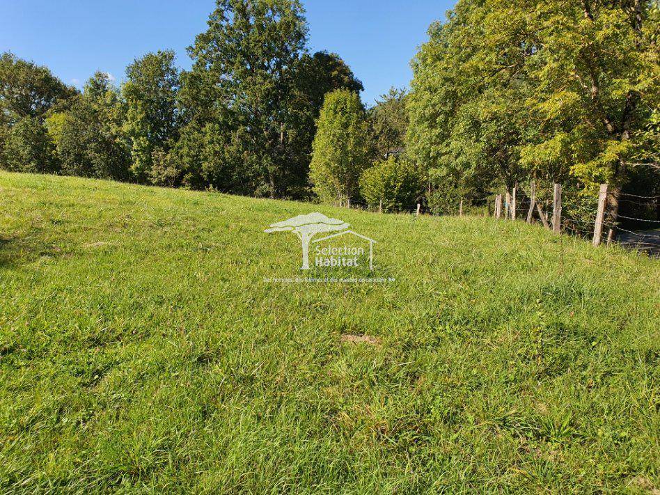 Terrain seul à Saint-Christophe-Vallon en Aveyron (12) de 1368 m² à vendre au prix de 31000€ - 4