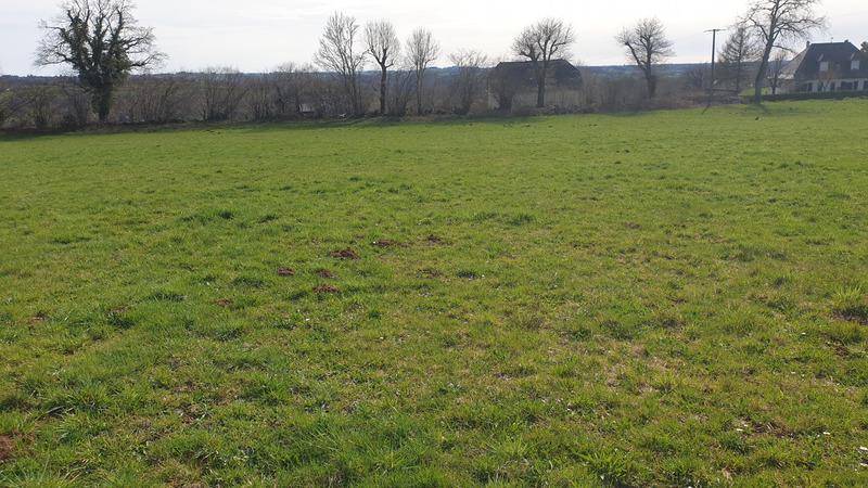 Terrain seul à Mauriac en Cantal (15) de 5828 m² à vendre au prix de 79500€ - 1