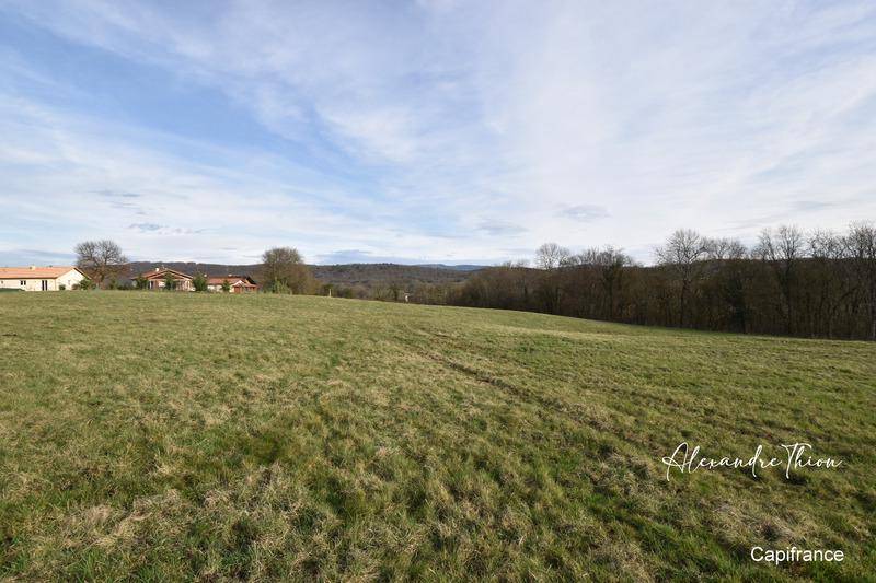 Terrain seul à Neuville-sur-Ain en Ain (01) de 5824 m² à vendre au prix de 25000€ - 4