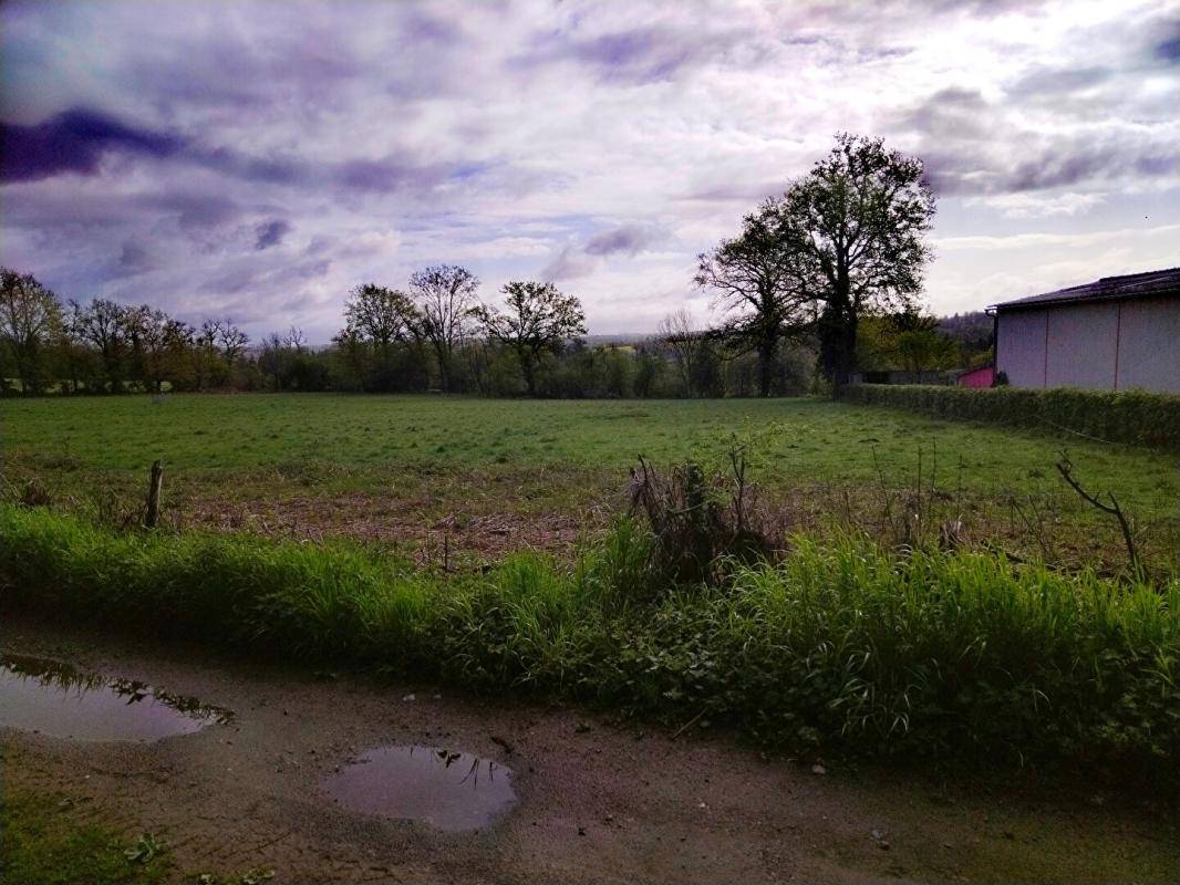 Terrain seul à Chassenon en Charente (16) de 10000 m² à vendre au prix de 86000€ - 1