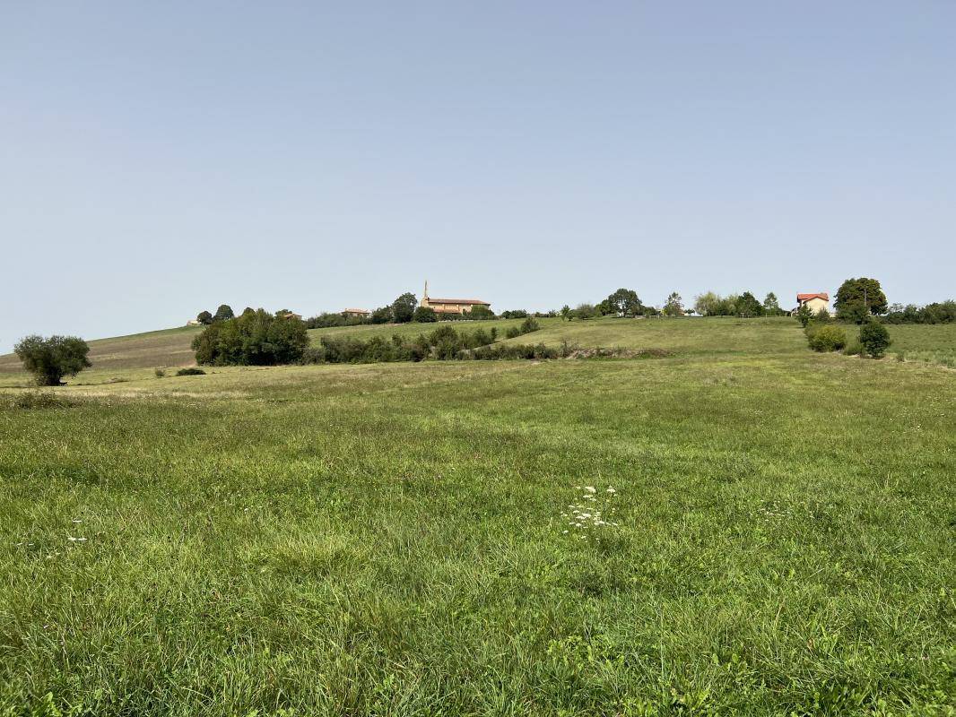 Terrain seul à Eoux en Haute-Garonne (31) de 7500 m² à vendre au prix de 49500€ - 4