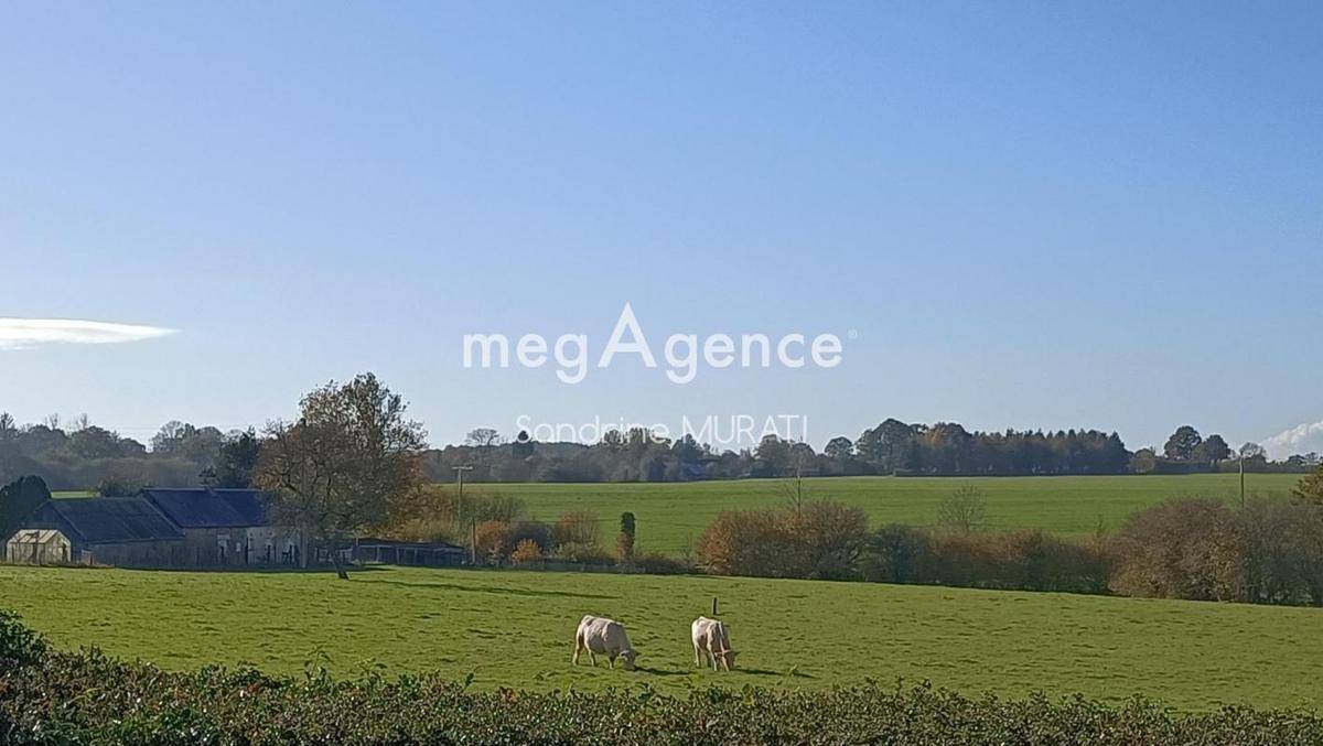 Terrain seul à Ciral en Orne (61) de 5152 m² à vendre au prix de 29000€ - 2