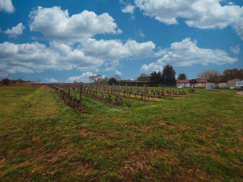 Terrain seul à Bonneville-et-Saint-Avit-de-Fumadières en Dordogne (24) de 2423 m² à vendre au prix de 36000€ - 3