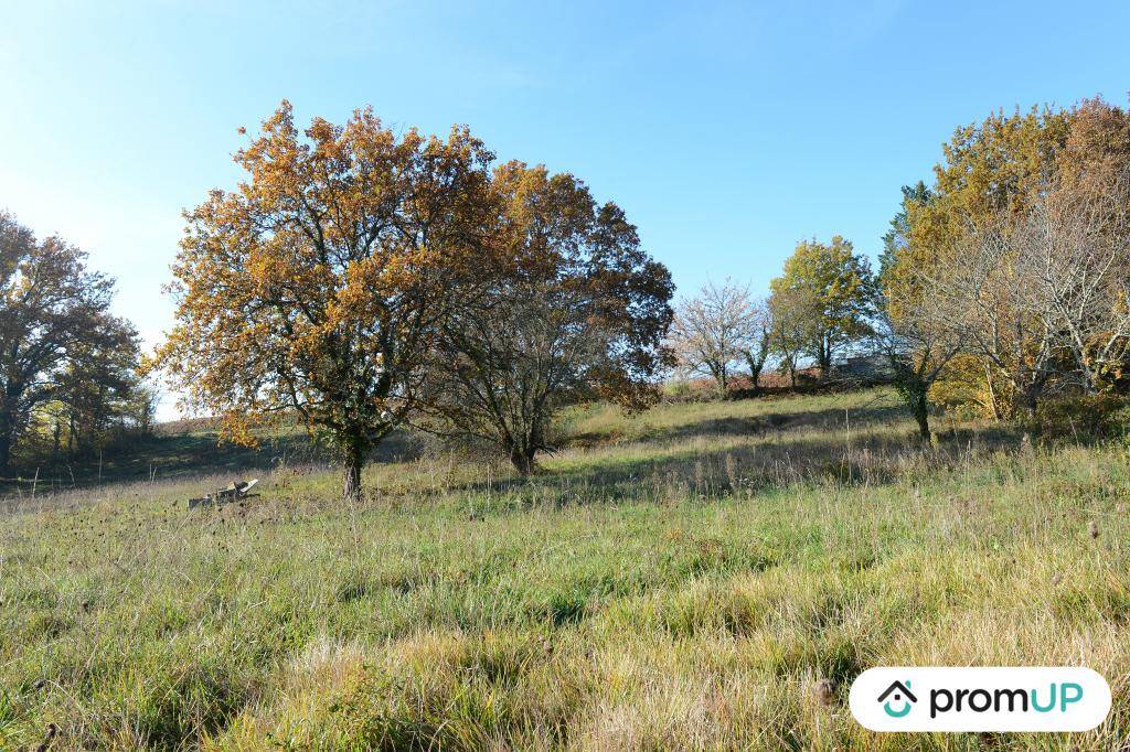 Terrain seul à Mouleydier en Dordogne (24) de 2240 m² à vendre au prix de 45000€ - 2