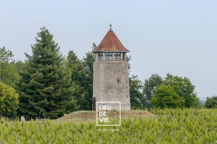 Image de l'annonce Charles