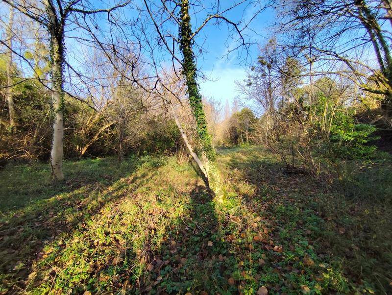 Image de l'annonce BONNETAN 2511m² avec maison à rénover 90m²…