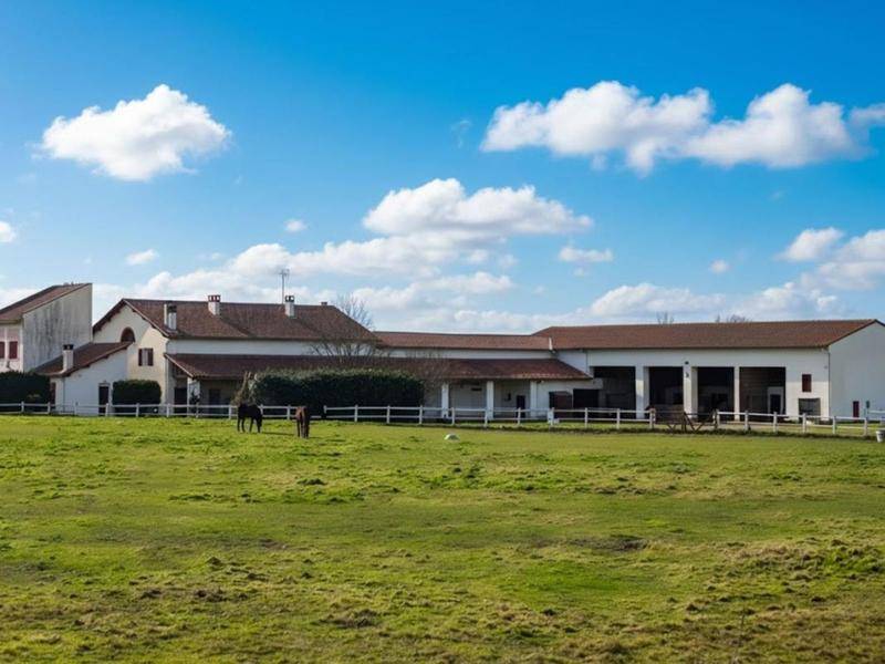 Image de l'annonce L'IMPOSSIBLE À MONTAUBAN : L’ÉVEIL D’UN DOMAINE…