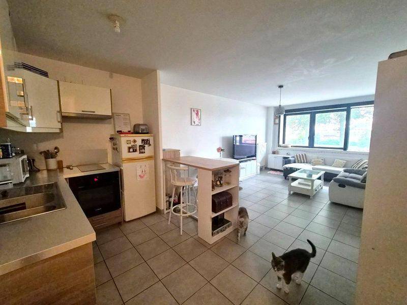 Image de l'annonce A LOUER - F3 de 65m² avec…