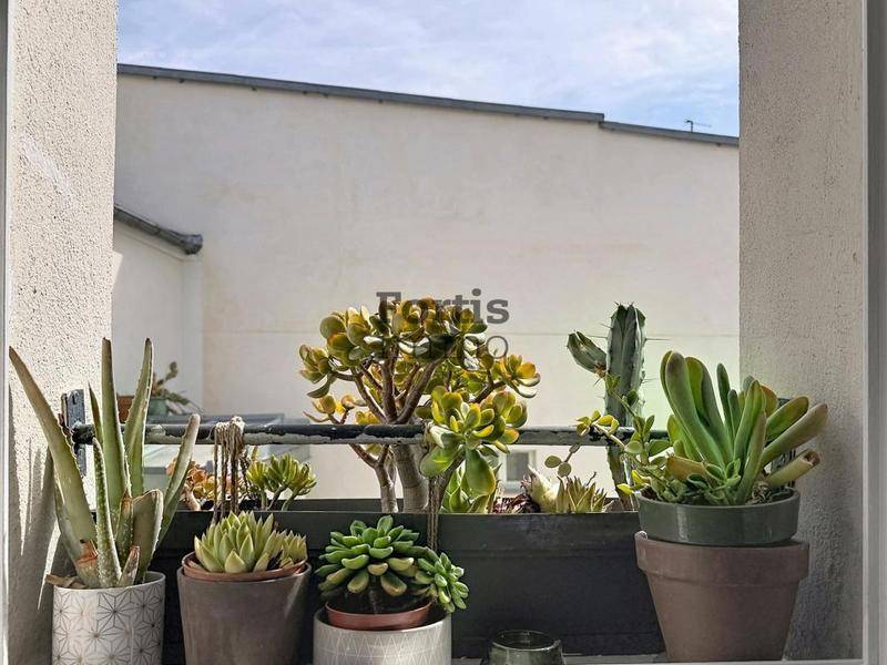 Image de l'annonce PARIS 2 - CHARMANTE STUDETTE - DERNIER…