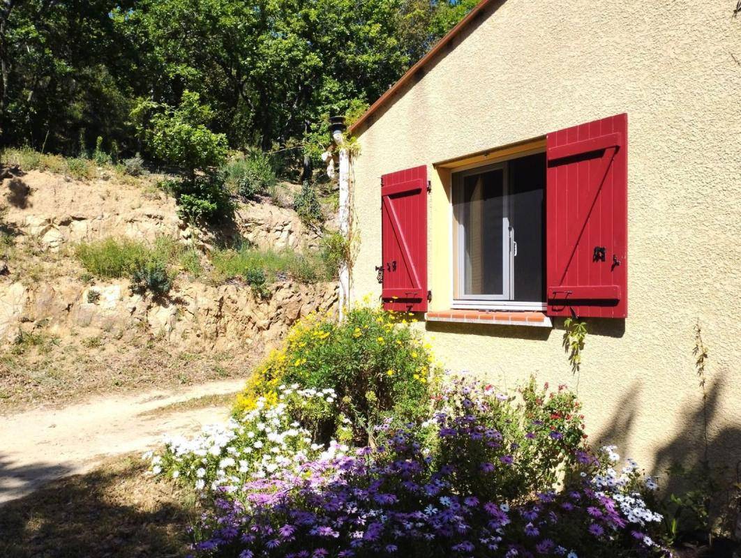 Image de l'annonce DOMAINE VITICOLE FENOUILLEDES