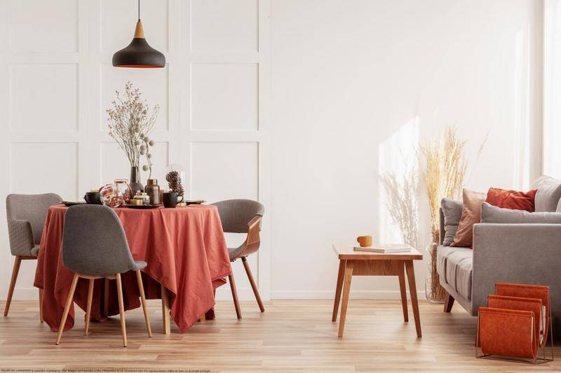 Image de l'annonce Appartement familial, deux balcons et parkings –…