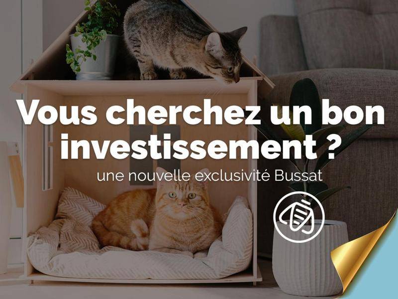 Image de l'annonce Vente appartement T4 - LOUÉ - Lyon…