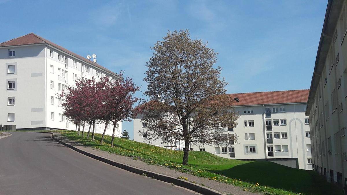 Image de l'annonce TYPE 3 MIRECOURT