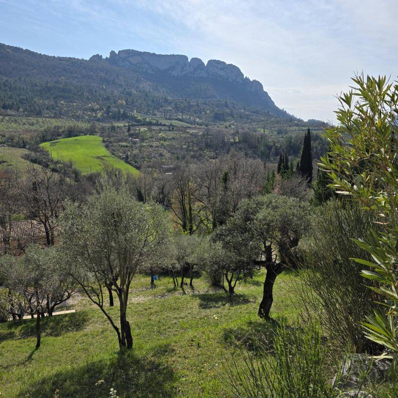Image de l'annonce maison en pierre avec vue à couper…