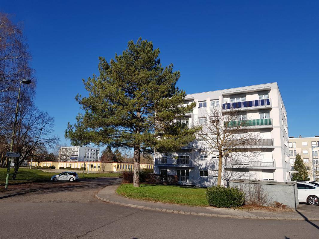 Image de l'annonce TYPE 4 NEUFCHATEAU