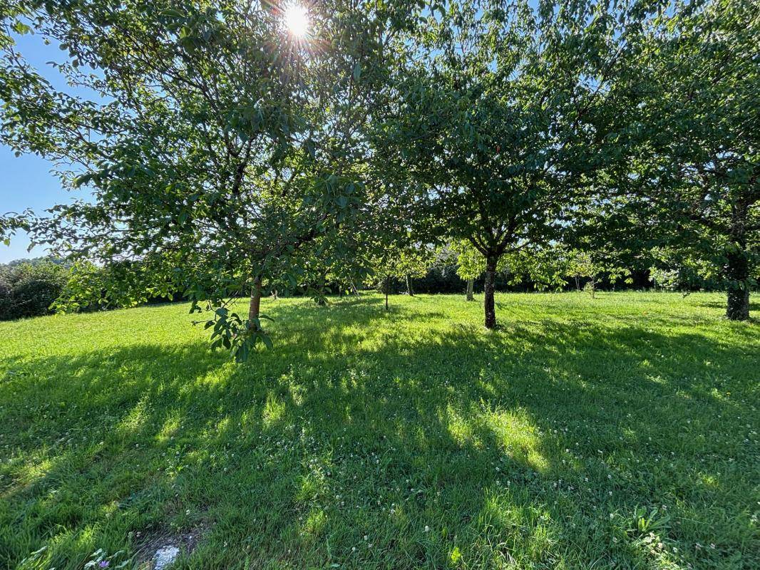 Image de l'annonce DAIGNAC Sur 2000m² Maison en pierre de…