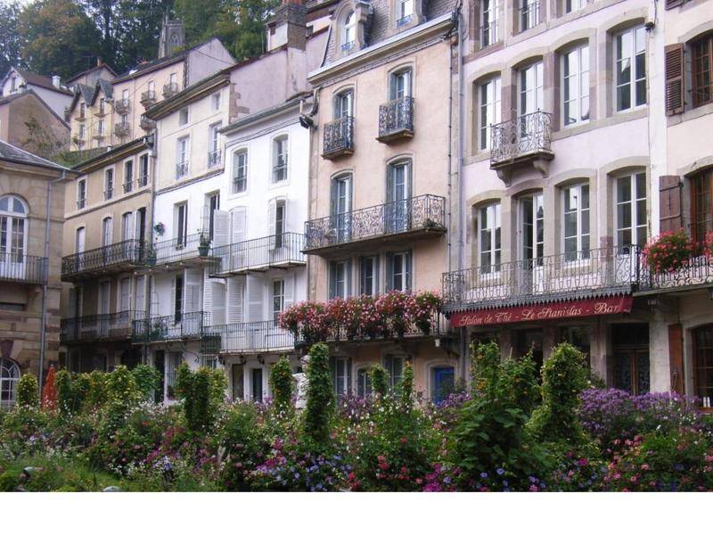 Image de l'annonce TYPE 2 PLOMBIERES LES BAINS