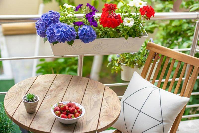 Image de l'annonce * * 3 PIECES - BALCON -…