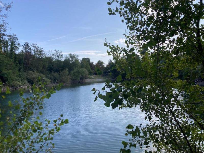 Image de l'annonce Domaine Forestier et chasse privée à vendre