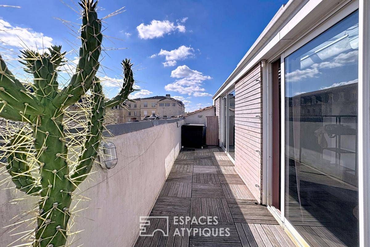 Image de l'annonce Vue sur les toits et terrasse plein…