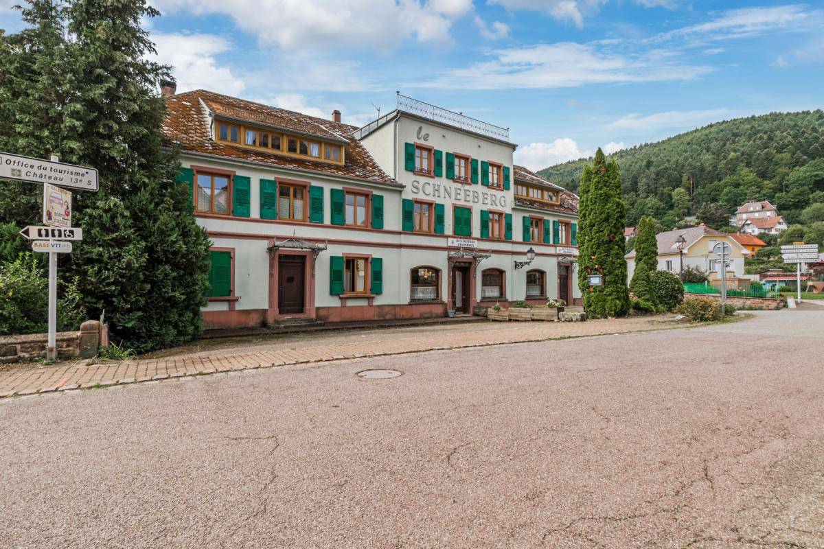 Image de l'annonce GRANDE MAISON FAMILIALE /WANGENBOURG/800m²