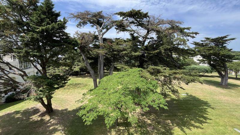 Image de l'annonce Studio avec grande terrasse environnement priviléftelgié parc…