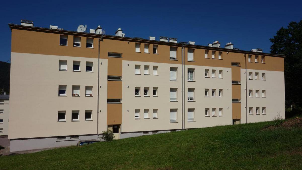 Image de l'annonce TYPE 4 SAINT-DIE-DES-VOSGES