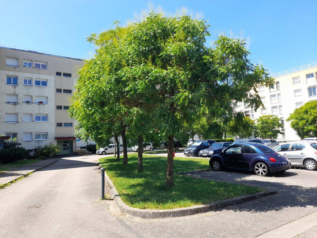 Image de l'annonce TYPE 3 NEUFCHATEAU