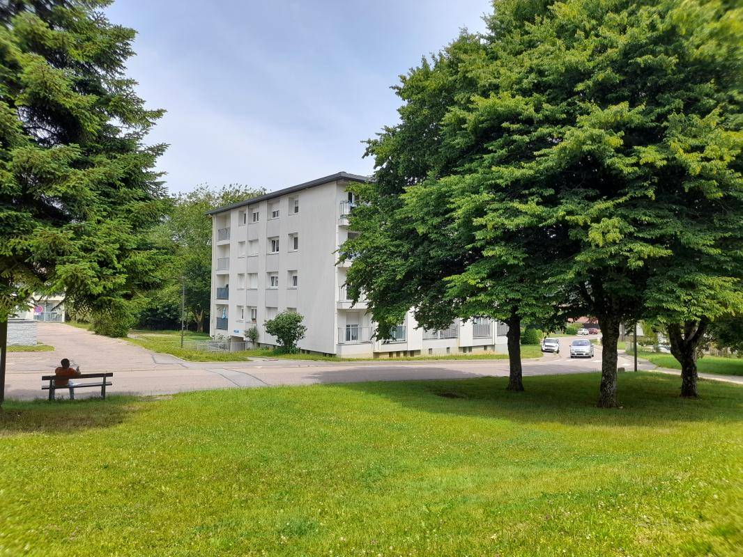 Image de l'annonce TYPE 4 NEUFCHATEAU