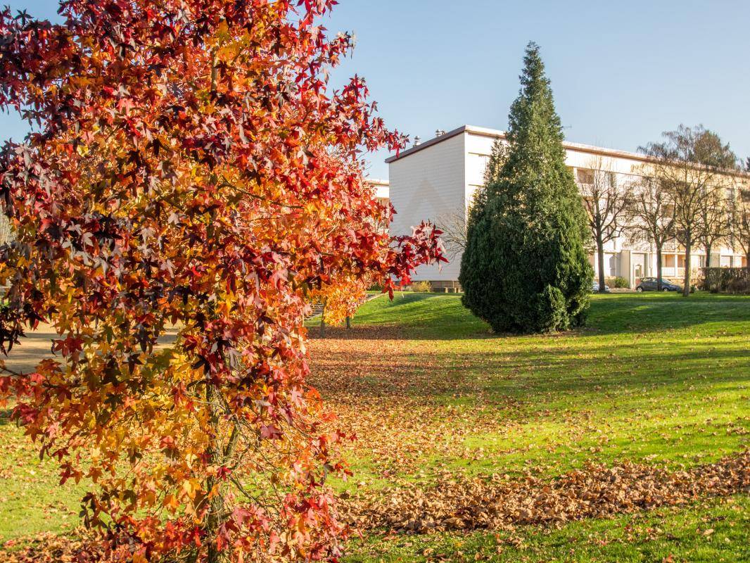 Image de l'annonce Appartement 4 pièces - Paray-le-Monial