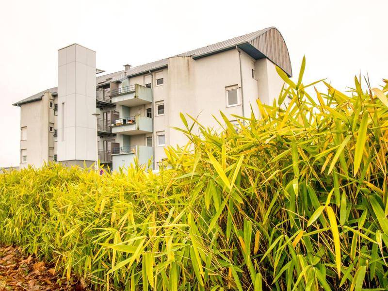 Image de l'annonce Appartement 2 pièces - Torcy