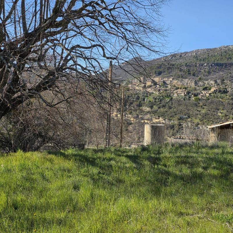 Image de l'annonce maison sur 1,8 hectares de terrain