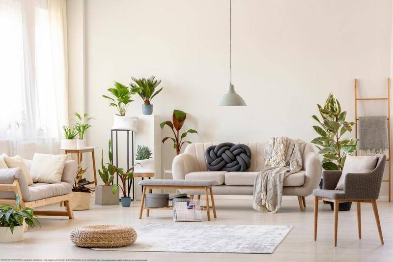 Image de l'annonce T2 SPACIEUX avec BALCON aux portes de…