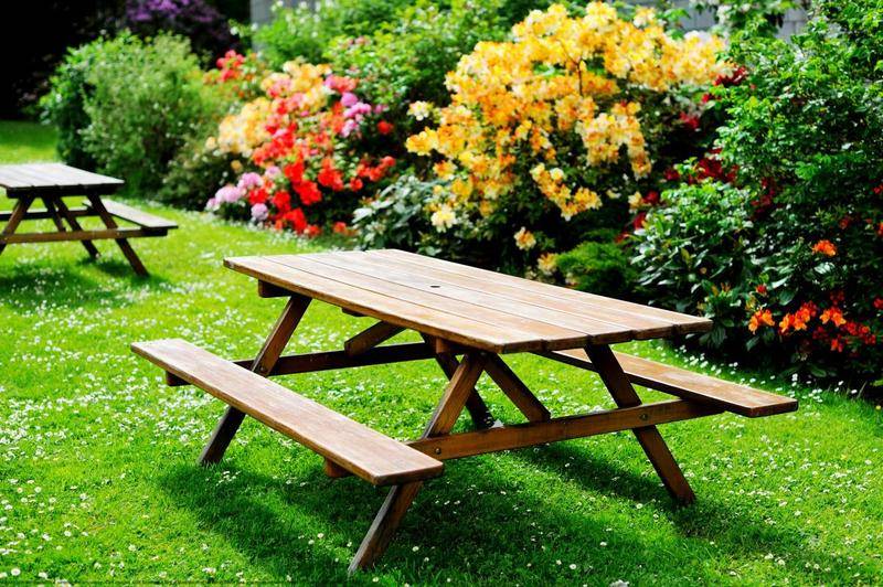 Image de l'annonce ** Superbe 3 pièces avec Jardin ,…