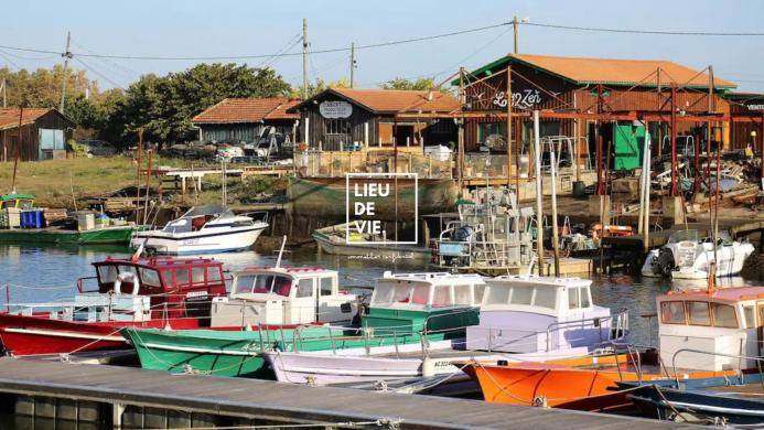 Image de l'annonce Jim