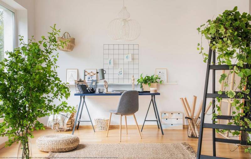 Image de l'annonce Grand 5 pièces — 100 m² habitables…
