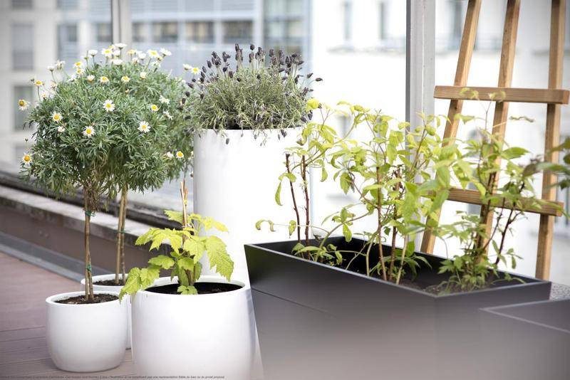 Image de l'annonce VENTE : SUPERBE T3 AU SIXIEME ETAGE,…