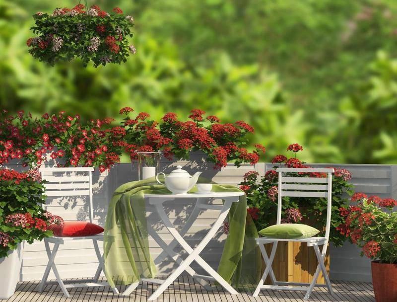 Image de l'annonce 3 PIECES AVEC BALCON SANS VIS A…