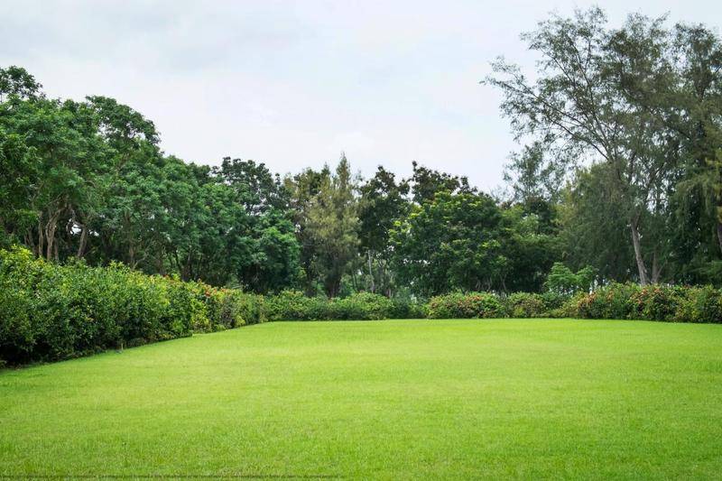Image de l'annonce Magnifique trois pièces avec Jardin au cœur…