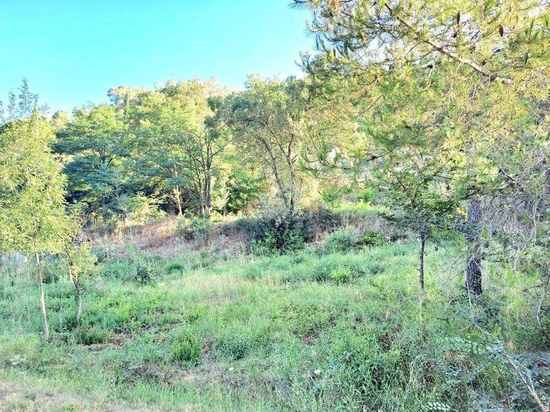 Image de l'annonce Terrain constructible + de 310 m2 +…