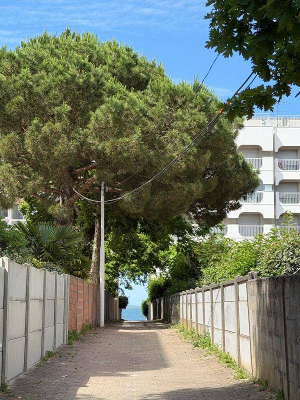 Image de l'annonce Némo Appartement vue bassin d'Arcachon