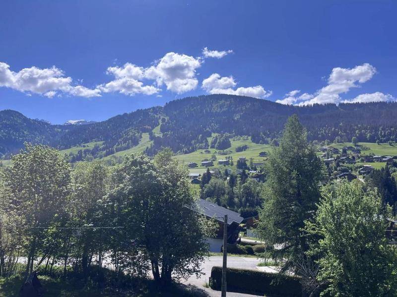 Image de l'annonce OPPORTUNITÉ - PRAZ SUR ARLY