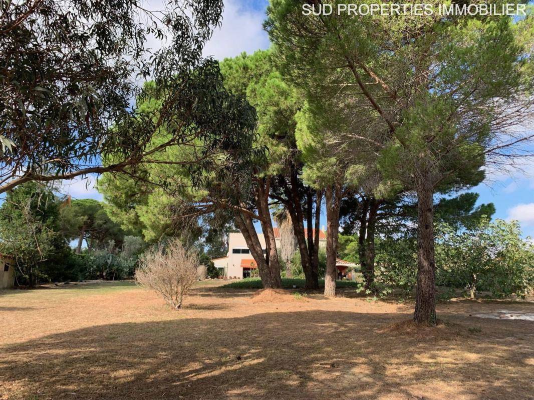 Image de l'annonce PERPIGNAN - MAS LLARO - 5 CHAMBRES…